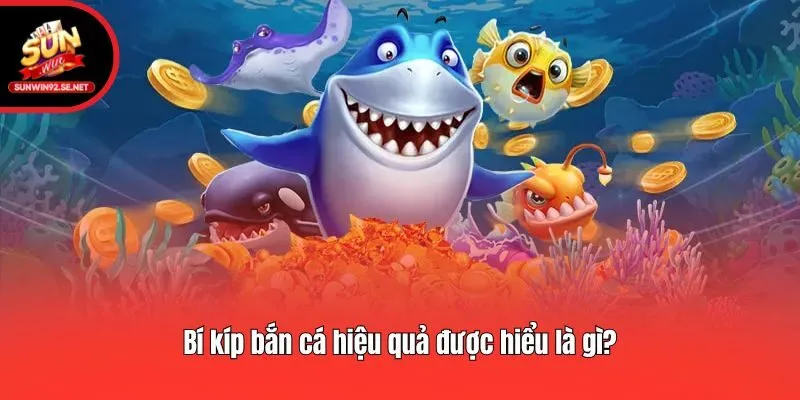 Bí kíp bắn cá hiệu quả được hiểu là gì?