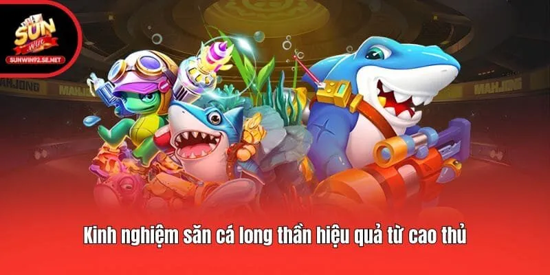 Kinh nghiệm săn cá long thần hiệu quả từ cao thủ